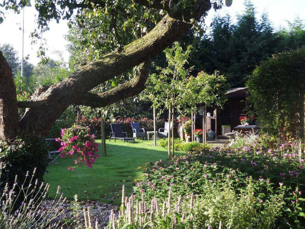 B&B Bij De Molen Rolde Экстерьер фото